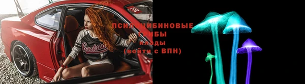 стаф Мегион