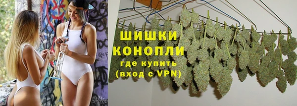 винт Магас