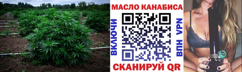 ТГК концентрат  Луга 
