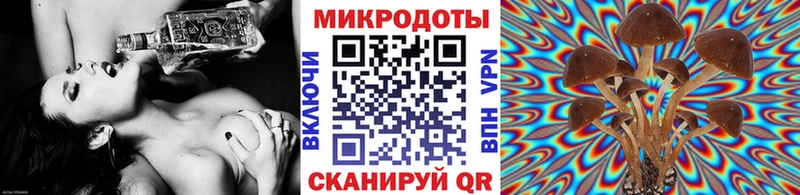 Галлюциногенные грибы ЛСД  mega маркетплейс  Луга 