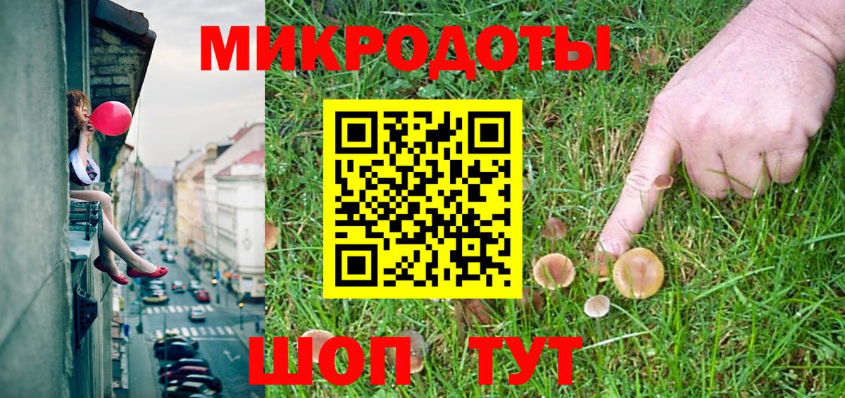 наркошоп  Луга  Псилоцибиновые грибы мухоморы 