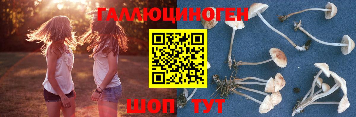 Галлюциногенные грибы мицелий  Псилоцибиновые грибы Magic Shrooms  Вход с VPN  Луга 